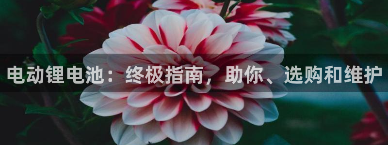 尊龙新版登录网址下载