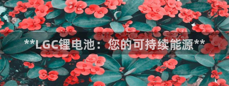 尊龙体育直接访问agbaofu.wang|ag暴富网