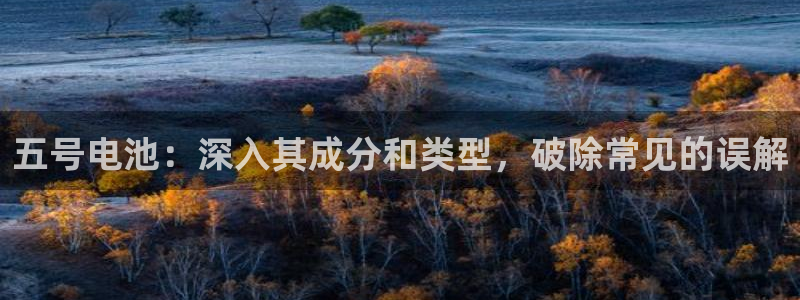 尊龙这个平台怎么样