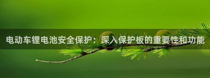 尊龙ag旗舰厅下载