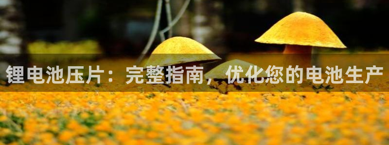凯时ag旗舰厅网址是什么