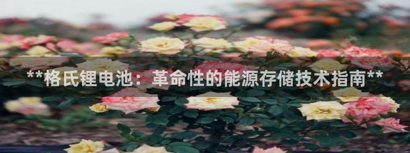 凯时官网下载客户端