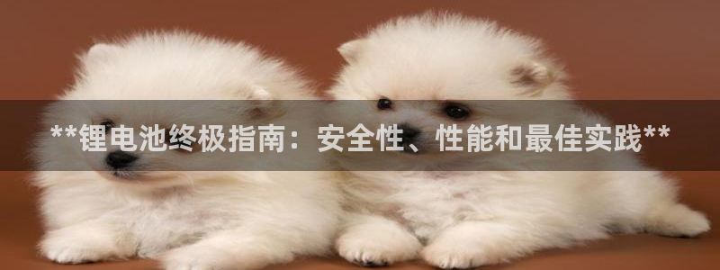 旧版尊龙人生就是博下载