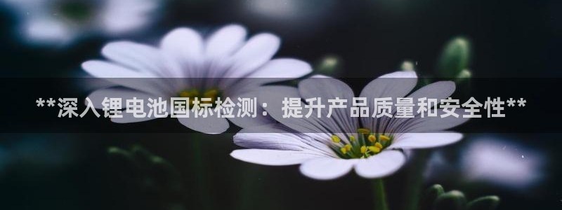 尊龙D88现金旧版