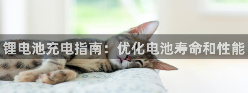 凯时国际网站域名