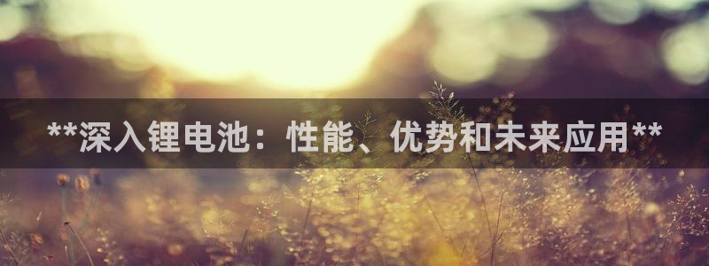 尊龙新版app首页
