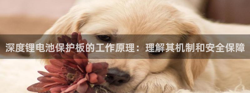 尊龙人生就是博送38
