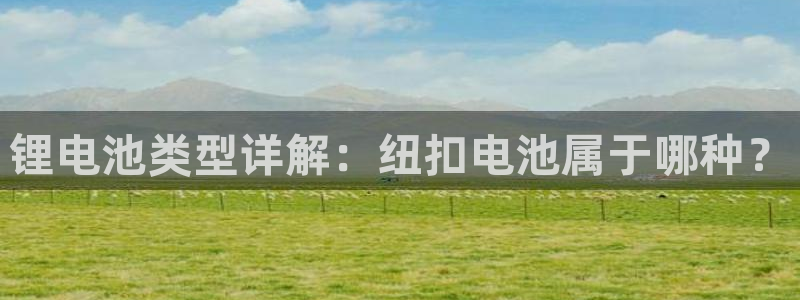 尊龙凯时 人生就是搏客服