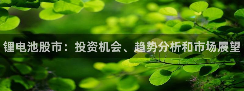 尊龙人生就是博下载