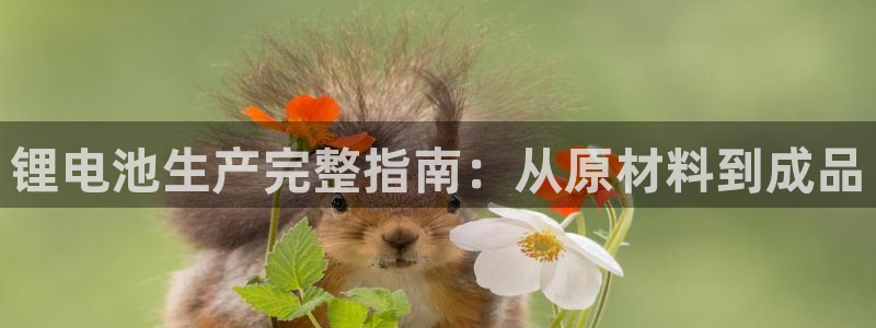尊龙凯时ag旗舰厅官方网站