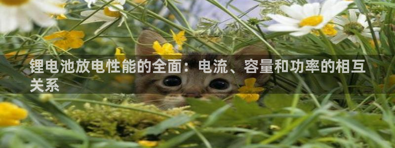 z6com尊龙凯时