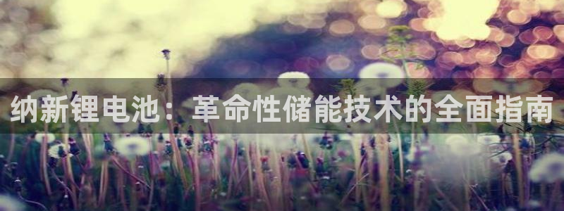 尊龙凯时网