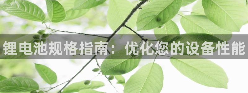 尊龙官网首页