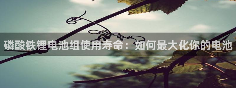 凯时k66官方发布