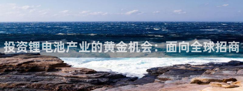 尊龙ag旗舰厅登陆：投资锂电池产业的黄金机会：面向全球招商