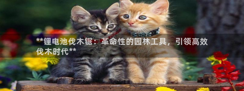 尊龙凯时怎么注销账号