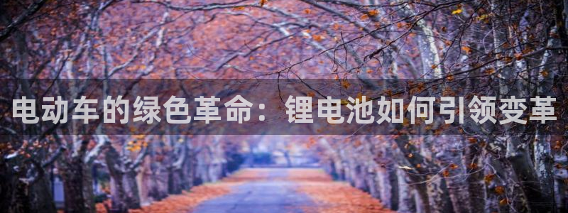 尊龙凯时能做退米么