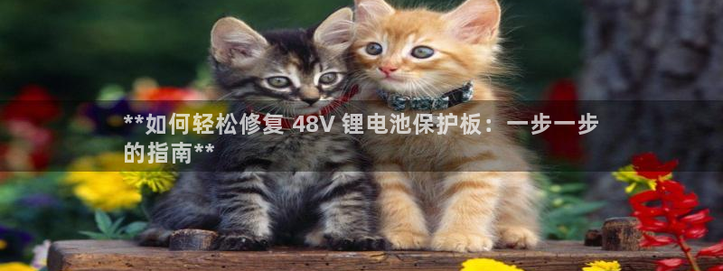 尊龙网站手机下载