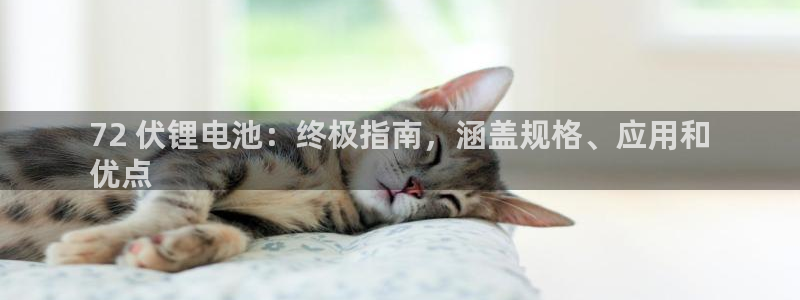 凯时k8娱乐唯一官网