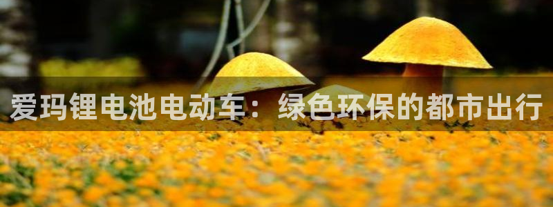 尊龙网站下分慢