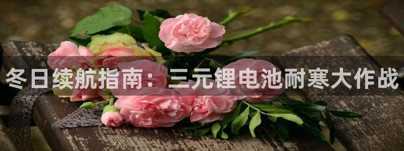 尊龙凯时官网入口：冬日续航指南：三元锂电池耐寒大作战