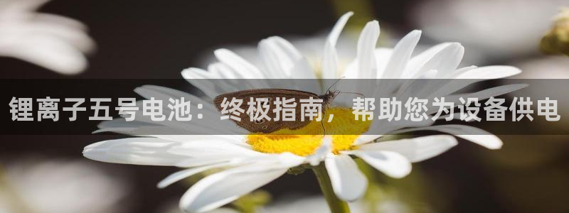 z6尊龙平台是哪里的：锂离子五号电池：终极指南，帮助您为设备供电