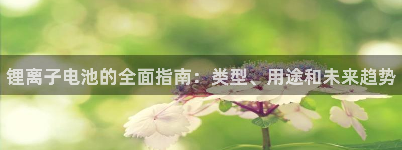 Z6尊龙老版：锂离子电池的全面指南：类型、用途和未来趋势