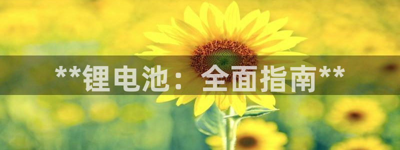 尊龙凯时人生就是博中国官网