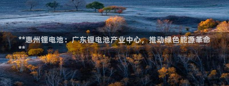 尊龙凯时取款有要求吗：**惠州锂电池：广东锂电池产业中心，推动绿色能源革命
**