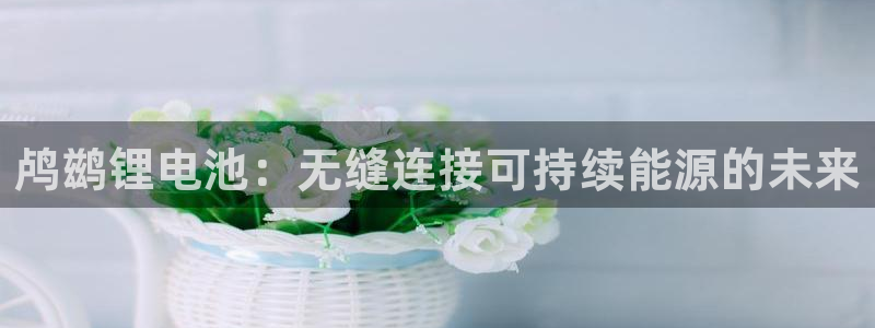 ZL尊龙凯时集团