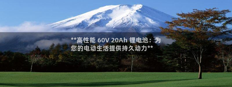 尊龙凯时捕鱼游戏能玩吗：**高性能 60V 20Ah 锂电池：为
您的电动生活提供持久动力**