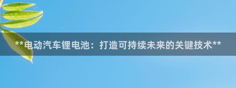 尊龙凯时处理未到账：**电动汽车锂电池：打造可持续未来的关键技术**