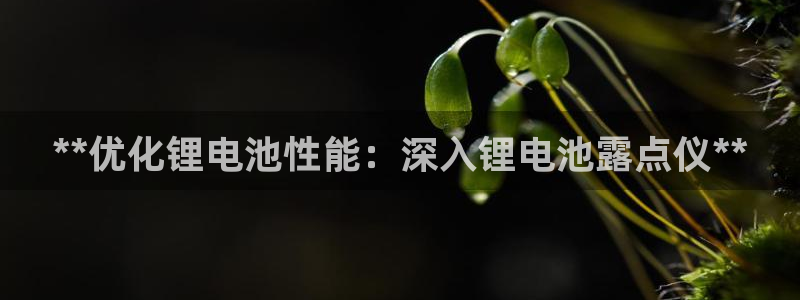 凯时是AG优质运营商：**优化锂电池性能：深入锂电池露点仪**