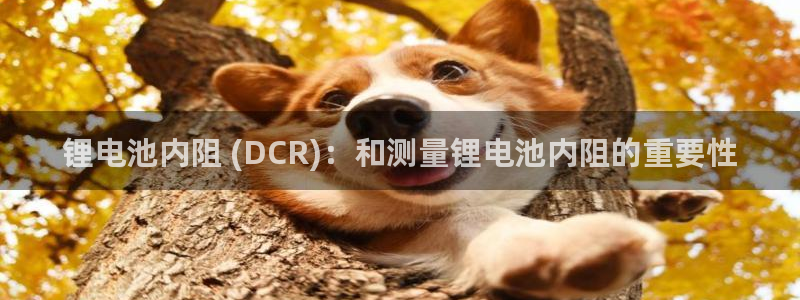 尊龙凯时官网网址：锂电池内阻 (DCR)：和测量锂电池内阻的重要性