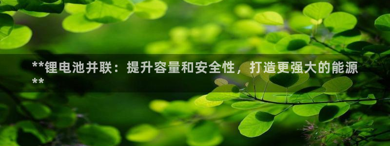尊龙体育电竞官网