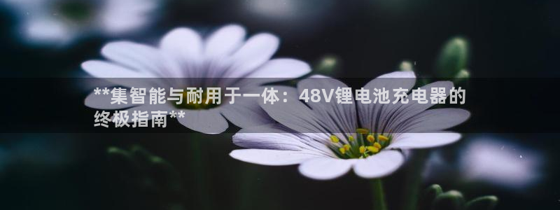 尊龙凯时一人生就是博登入