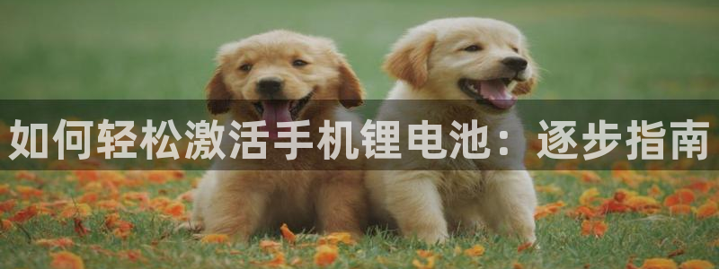 尊龙科技
