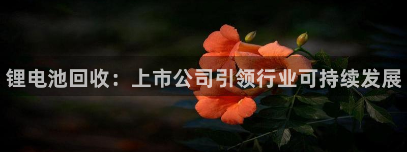 尊龙凯时官网平台