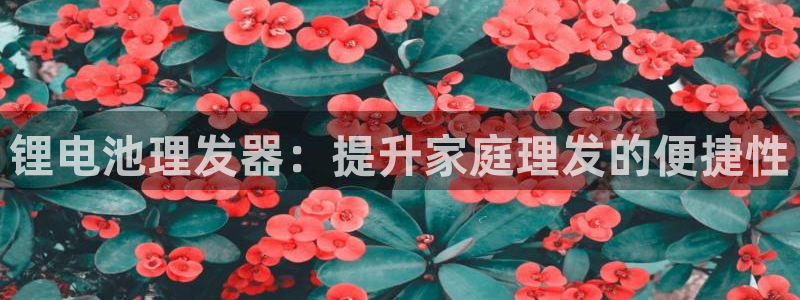 尊龙1003尊龙 - 百度：锂电池理发器：提升家庭理发的便捷性