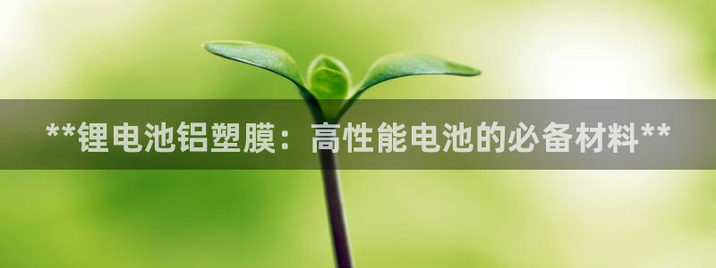 有人在凯时赢过钱吗：**锂电池铝塑膜：高性能电池的必备材料**