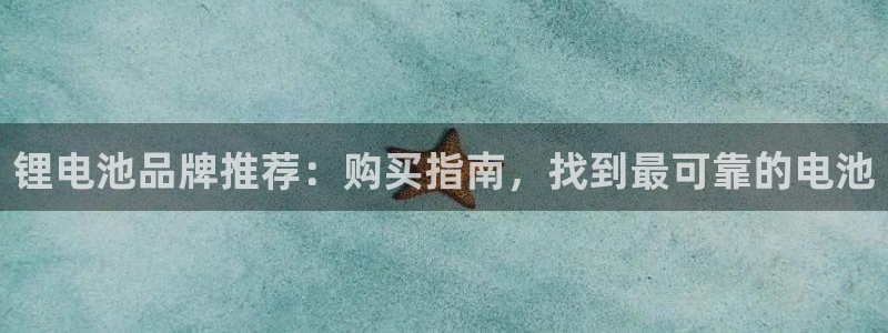 尊龙专访：锂电池品牌推荐：购买指南，找到最可靠的电池