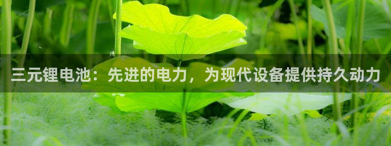 尊龙凯时下载链接：三元锂电池：先进的电力，为现代设备提供持久动力