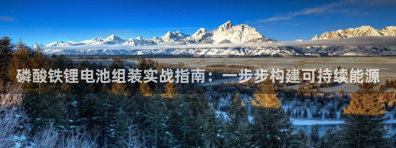 尊龙人生就是博中国区：磷酸铁锂电池组装实战指南：一步步构建可持续能源
