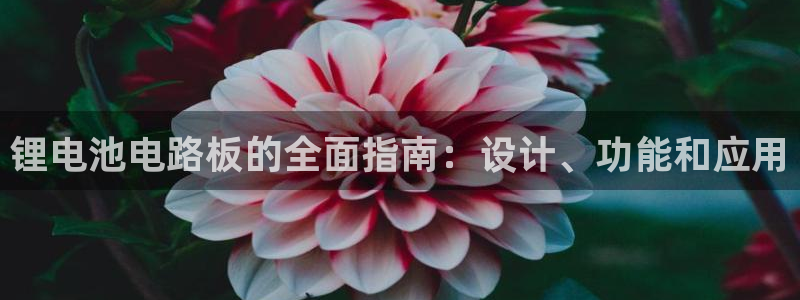尊龙体育正规么：锂电池电路板的全面指南：设计、功能和应用