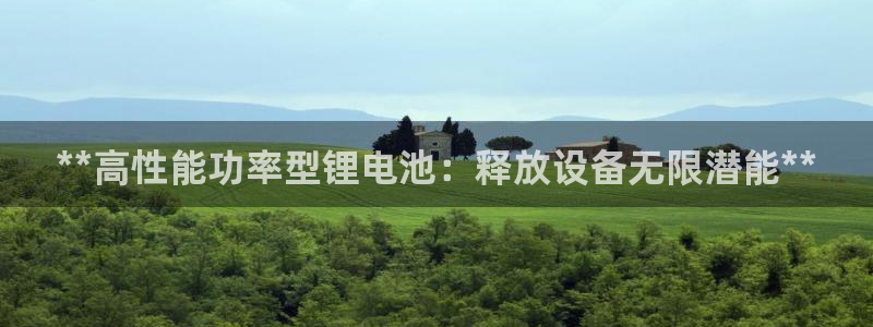 尊龙集团有限公司官网地址：**高性能功率型锂电池：释放设备无限潜能**