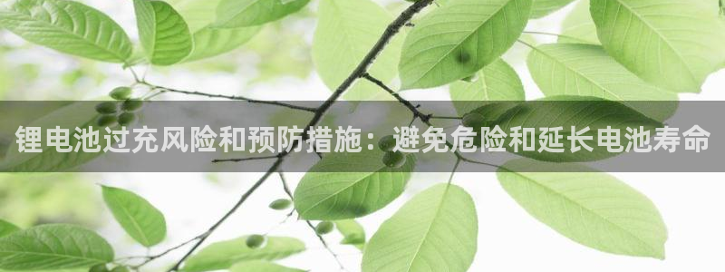 尊龙z6平台