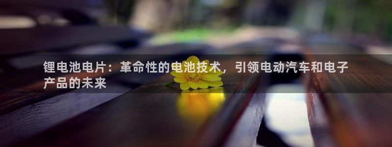 尊龙凯时捕鱼游戏能玩吗：锂电池电片：革命性的电池技术，引领电动汽车和电子
产品的未来