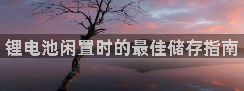 ag旗舰平台尊龙代言
