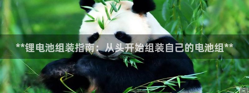 尊龙凯时网娱乐最新版下载