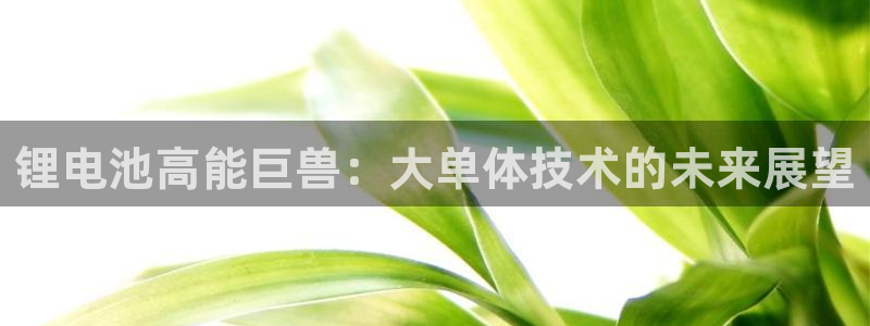 尊龙凯时最新平台登陆